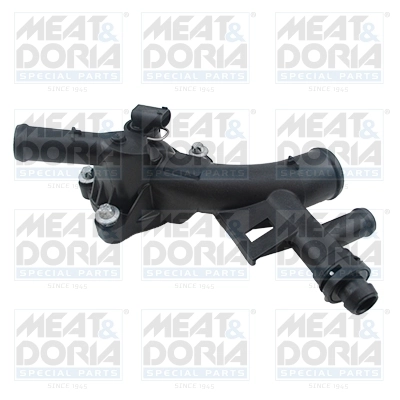 Thermostat, coolant